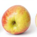 Apple trade-in values