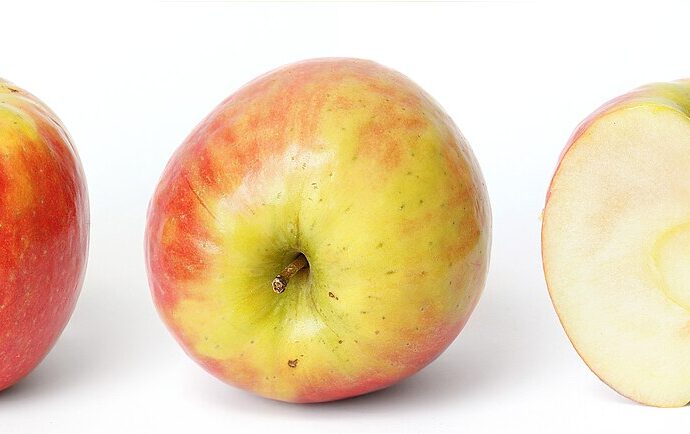 Apple trade-in values