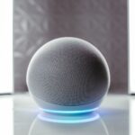 voice AI funding