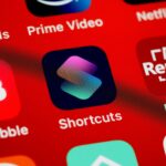 Gemini app access